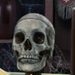 13th Skull icon